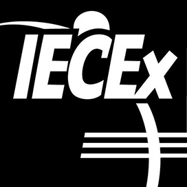 IECX Black Logo